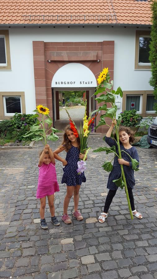 Well-Being Gastehaus Stauf Hotel Eisenberg  Ngoại thất bức ảnh